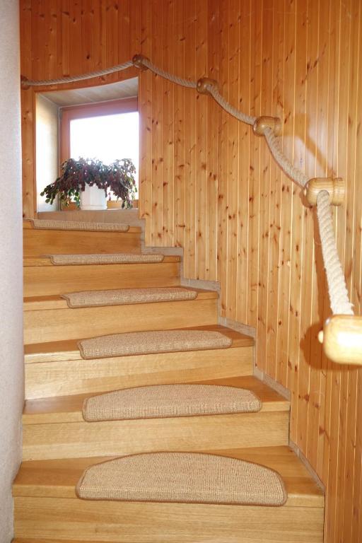 Apartmány Arnika Horní Planá Esterno foto